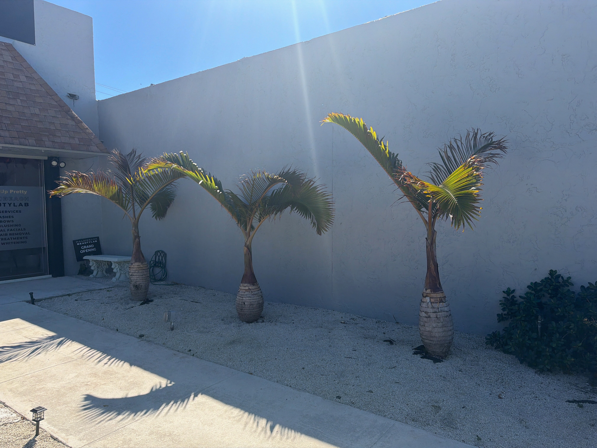 Before landscaping