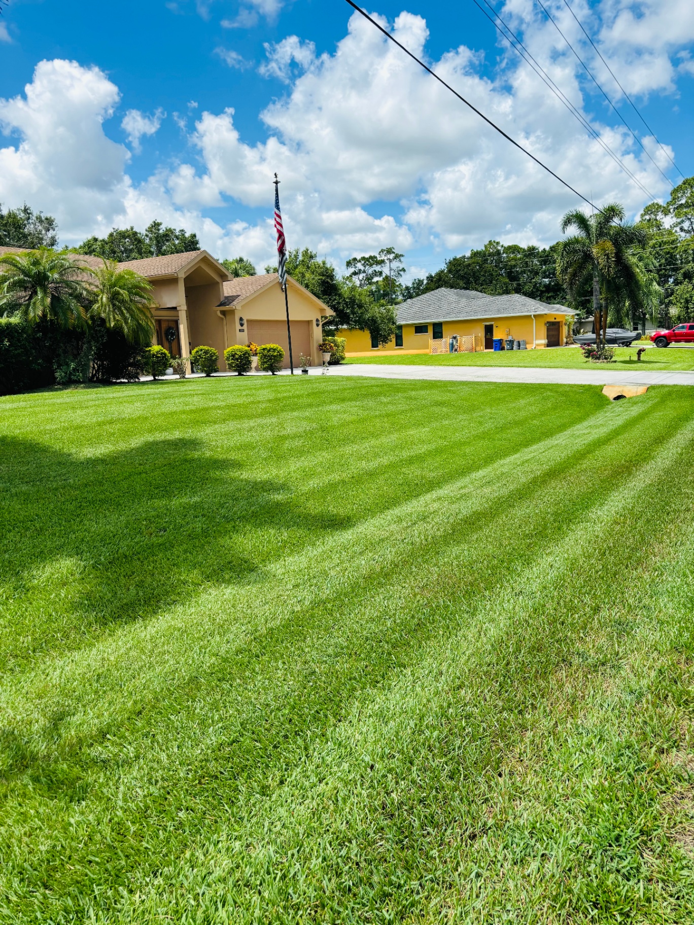 Lawn Maintenance